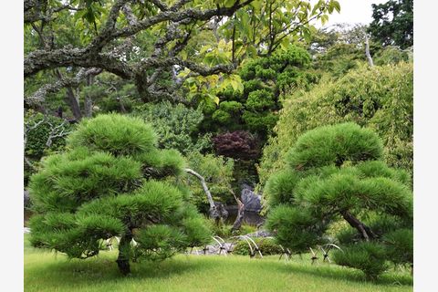 ビフォーアフター画像