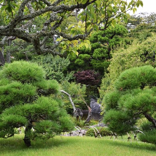 ビフォーアフター画像