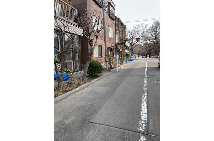 庭の冬囲い外し