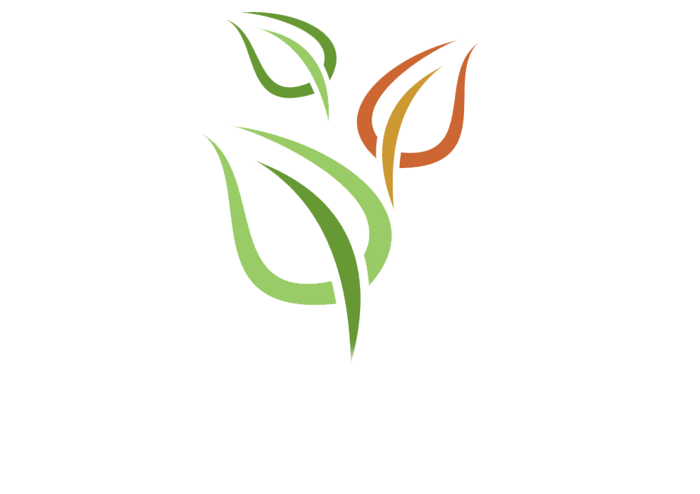 渡辺造園
